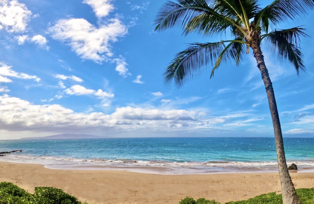 AGODA vs. Booking.com:ハワイ旅行でどっちが得?実際に使ってみた結果と体験談